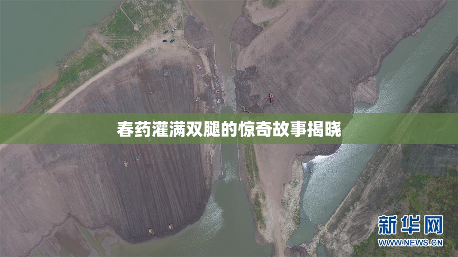 春药灌满双腿的惊奇故事揭晓