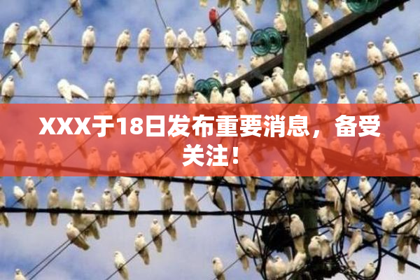 XXX于18日发布重要消息，备受关注！