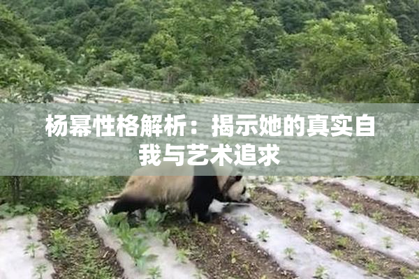 杨幂性格解析：揭示她的真实自我与艺术追求