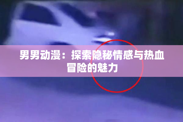 男男动漫：探索隐秘情感与热血冒险的魅力