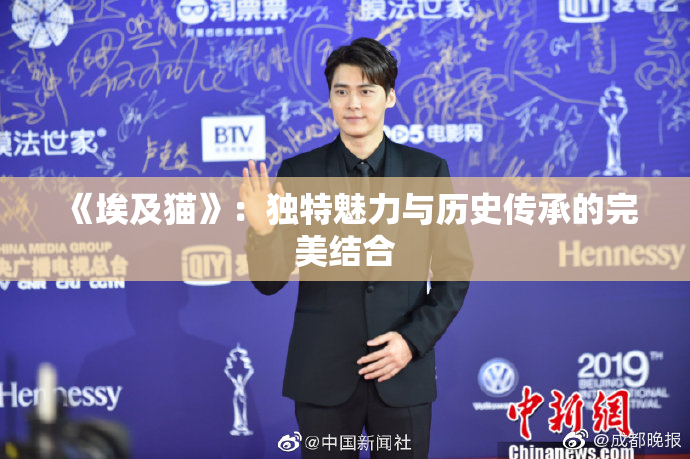 《埃及猫》：独特魅力与历史传承的完美结合