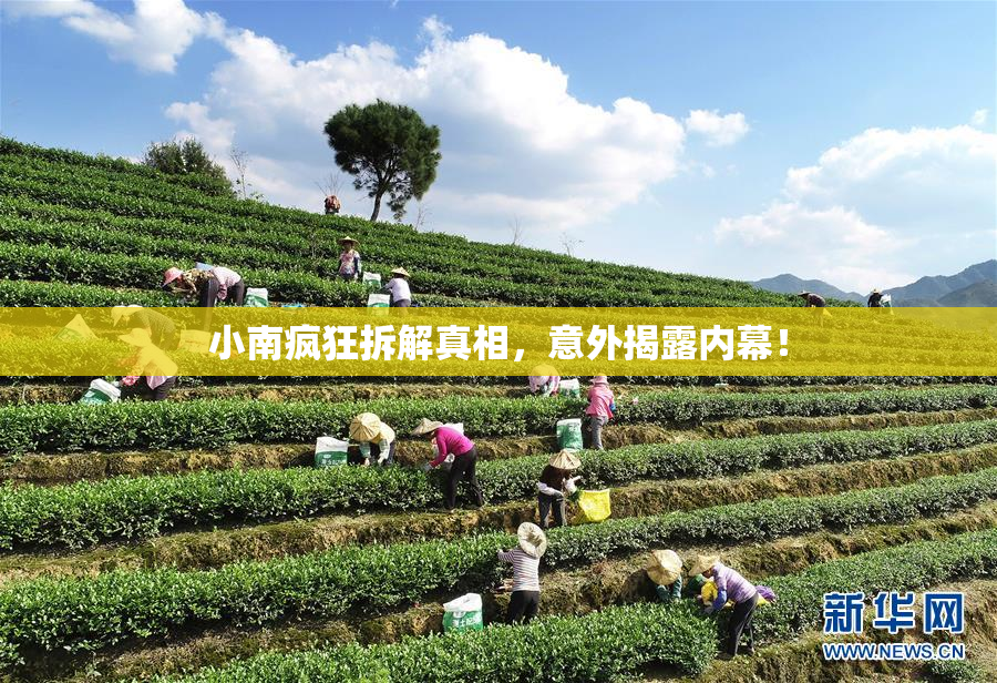 小南疯狂拆解真相，意外揭露内幕！