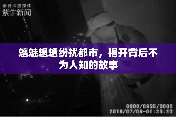 魑魅魍魉纷扰都市，揭开背后不为人知的故事