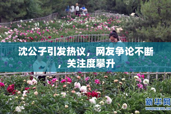 沈公子引发热议，网友争论不断，关注度攀升