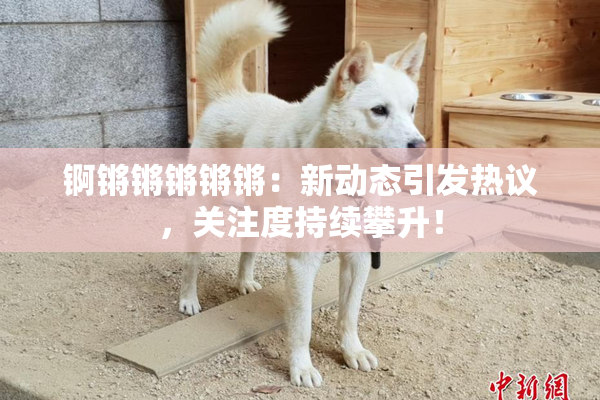锕锵锵锵锵锵：新动态引发热议，关注度持续攀升！