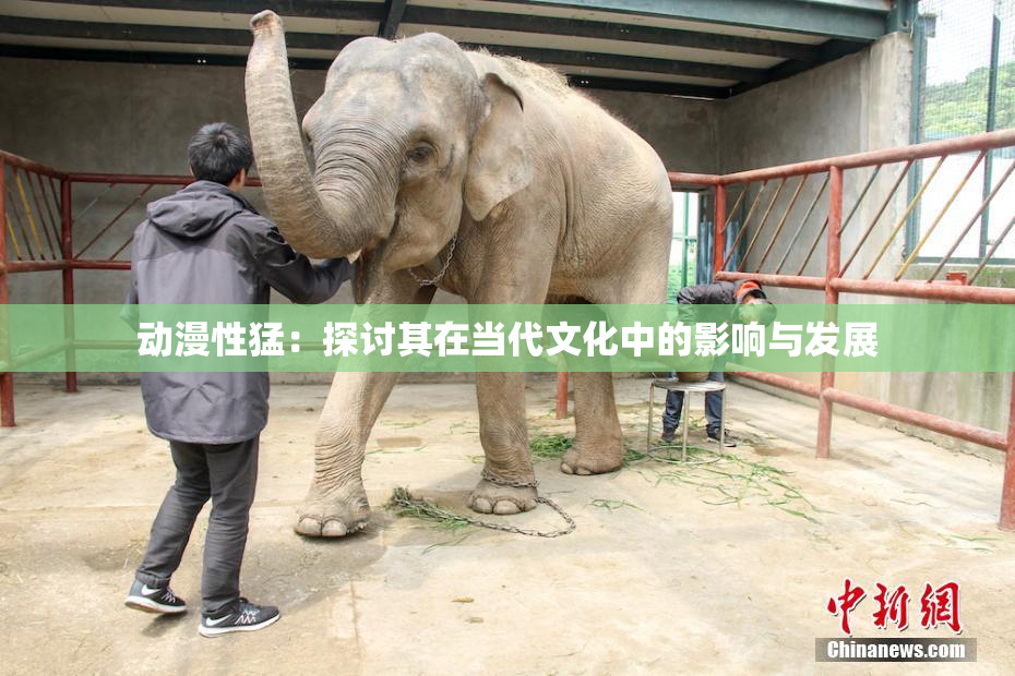 动漫性猛：探讨其在当代文化中的影响与发展