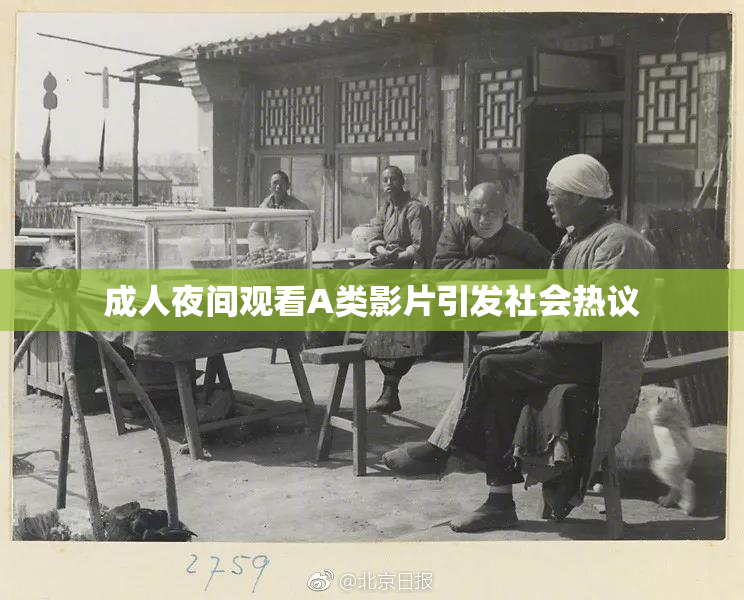 成人夜间观看A类影片引发社会热议