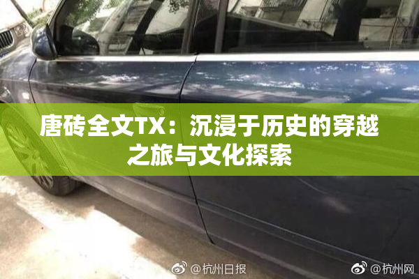 唐砖全文TX：沉浸于历史的穿越之旅与文化探索