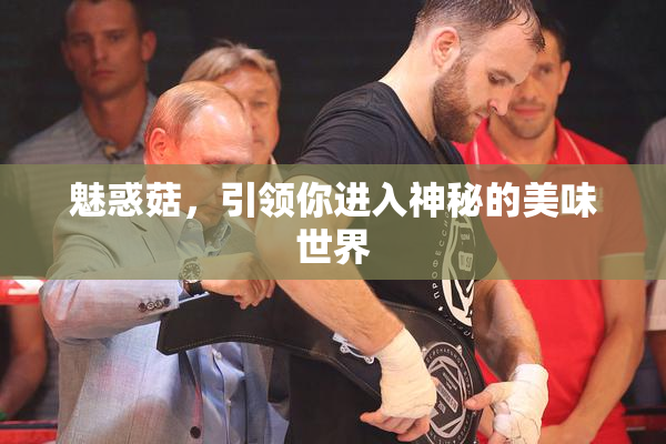 魅惑菇，引领你进入神秘的美味世界