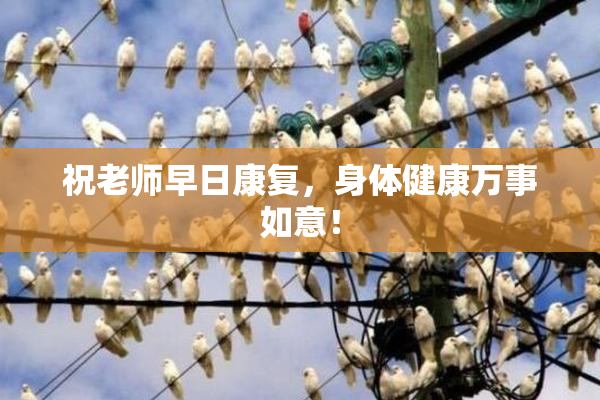 祝老师早日康复，身体健康万事如意！