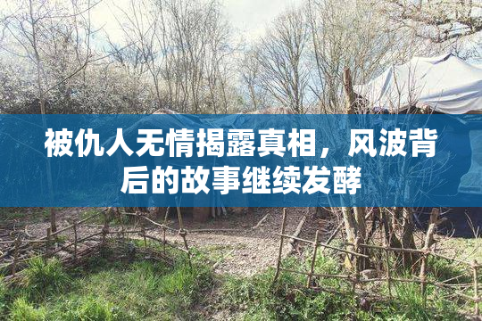 被仇人无情揭露真相，风波背后的故事继续发酵