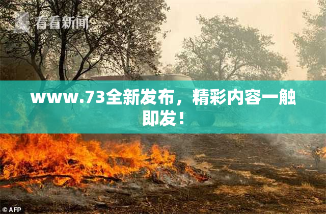 www.73全新发布，精彩内容一触即发！