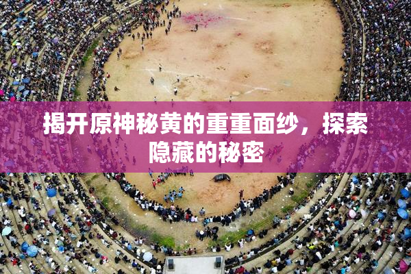 揭开原神秘黄的重重面纱，探索隐藏的秘密