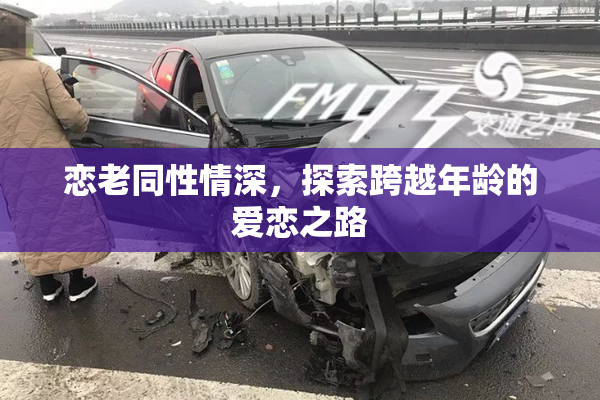 恋老同性情深，探索跨越年龄的爱恋之路