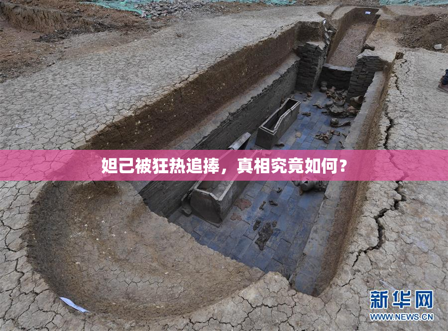 妲己被狂热追捧，真相究竟如何？