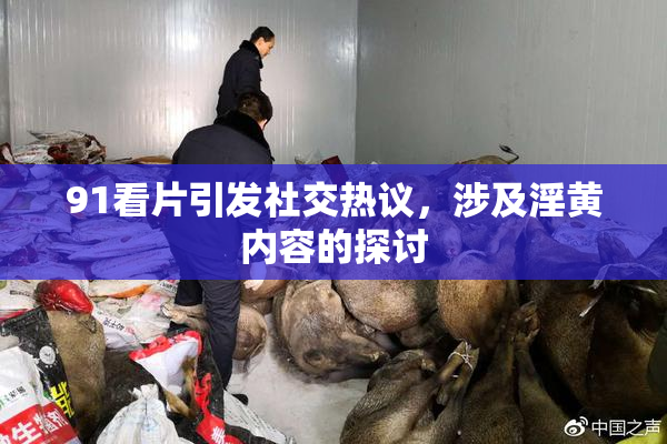 91看片引发社交热议，涉及淫黄内容的探讨