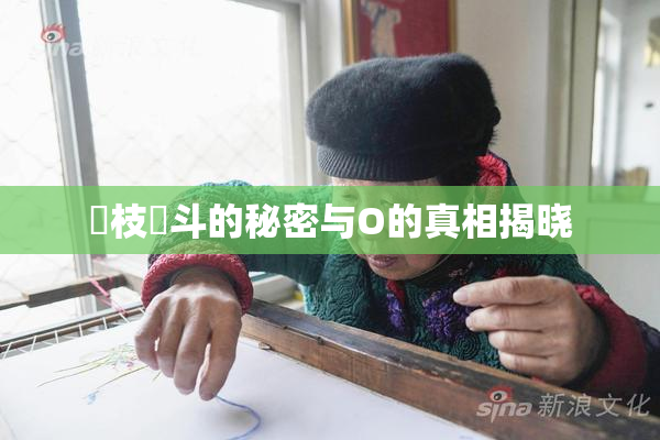 狛枝凪斗的秘密与O的真相揭晓