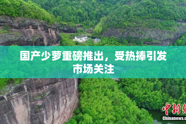 国产少萝重磅推出，受热捧引发市场关注
