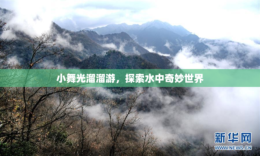 小舞光溜溜游，探索水中奇妙世界