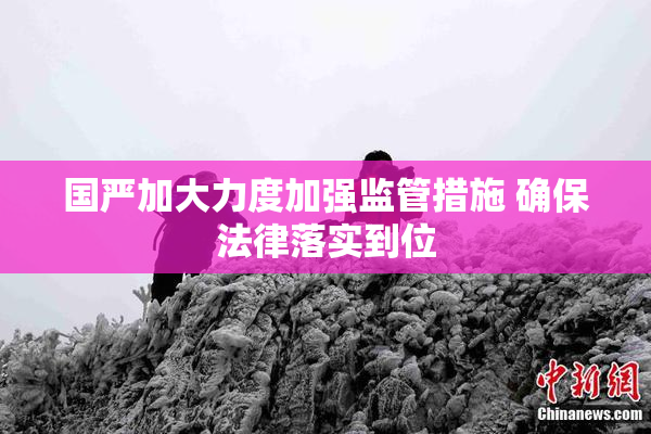 国严加大力度加强监管措施 确保法律落实到位