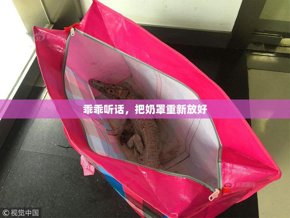 乖乖听话，把奶罩重新放好