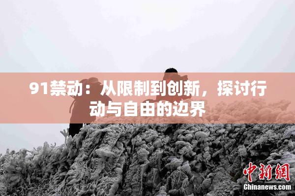 91禁动：从限制到创新，探讨行动与自由的边界