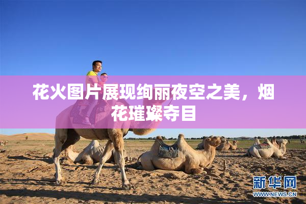 花火图片展现绚丽夜空之美，烟花璀璨夺目