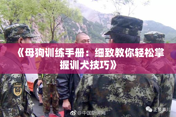 《母狗训练手册：细致教你轻松掌握训犬技巧》