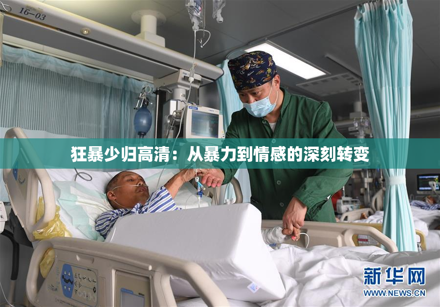 狂暴少归高清：从暴力到情感的深刻转变