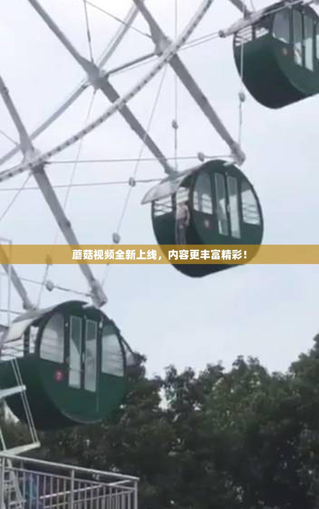 蘑菇视频全新上线，内容更丰富精彩！