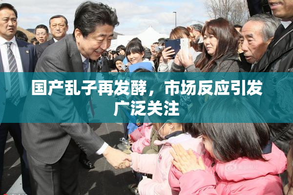 国产乱子再发酵，市场反应引发广泛关注
