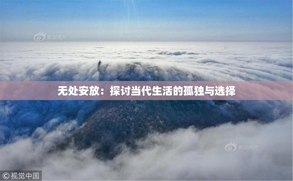 无处安放：探讨当代生活的孤独与选择
