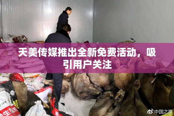 天美传媒推出全新免费活动，吸引用户关注
