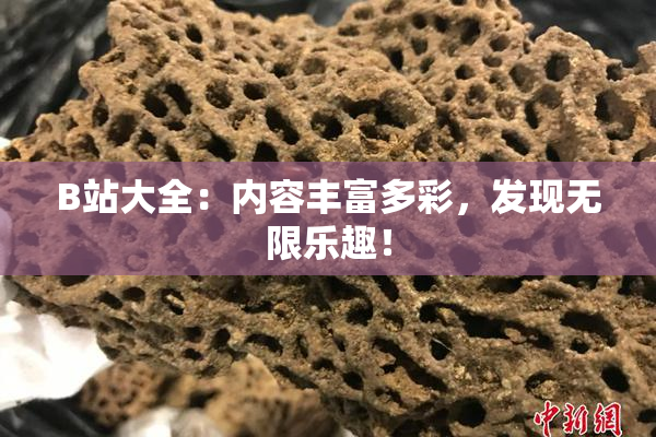 B站大全：内容丰富多彩，发现无限乐趣！