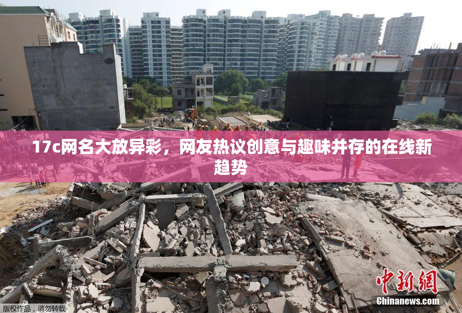 17c网名大放异彩，网友热议创意与趣味并存的在线新趋势