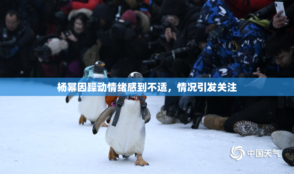 杨幂因躁动情绪感到不适，情况引发关注