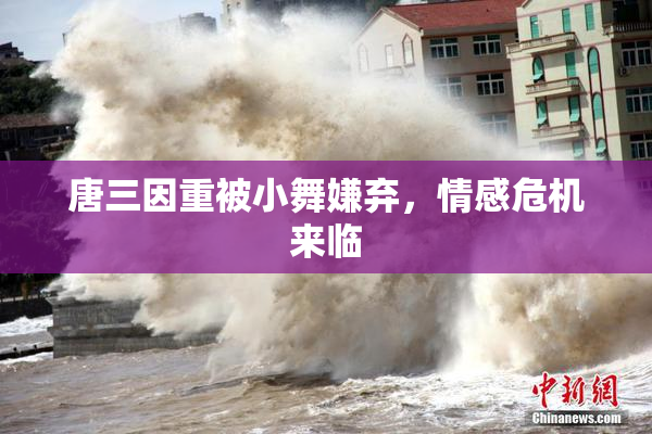 唐三因重被小舞嫌弃，情感危机来临