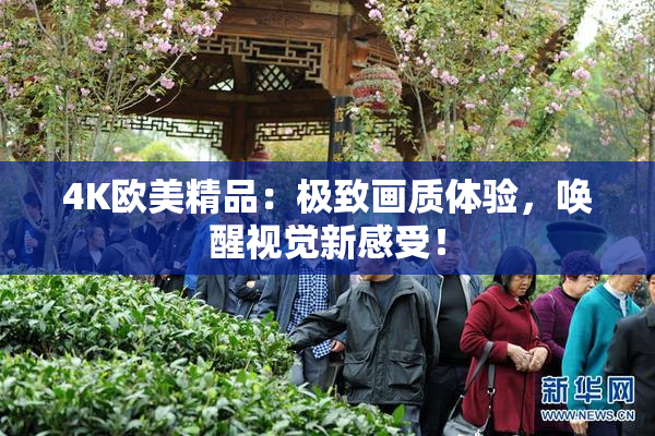 4K欧美精品：极致画质体验，唤醒视觉新感受！