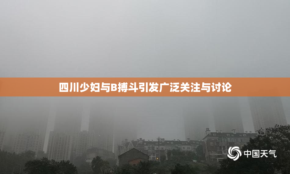 四川少妇与B搏斗引发广泛关注与讨论