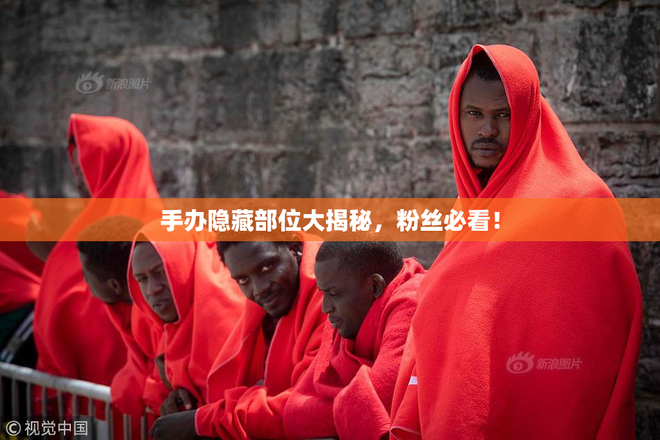 手办隐藏部位大揭秘，粉丝必看！