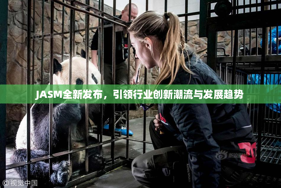 JASM全新发布，引领行业创新潮流与发展趋势