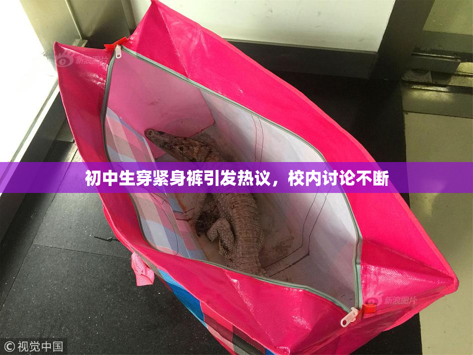初中生穿紧身裤引发热议，校内讨论不断