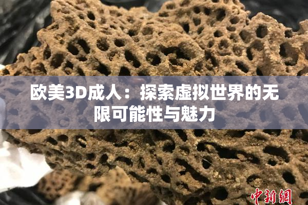 欧美3D成人：探索虚拟世界的无限可能性与魅力
