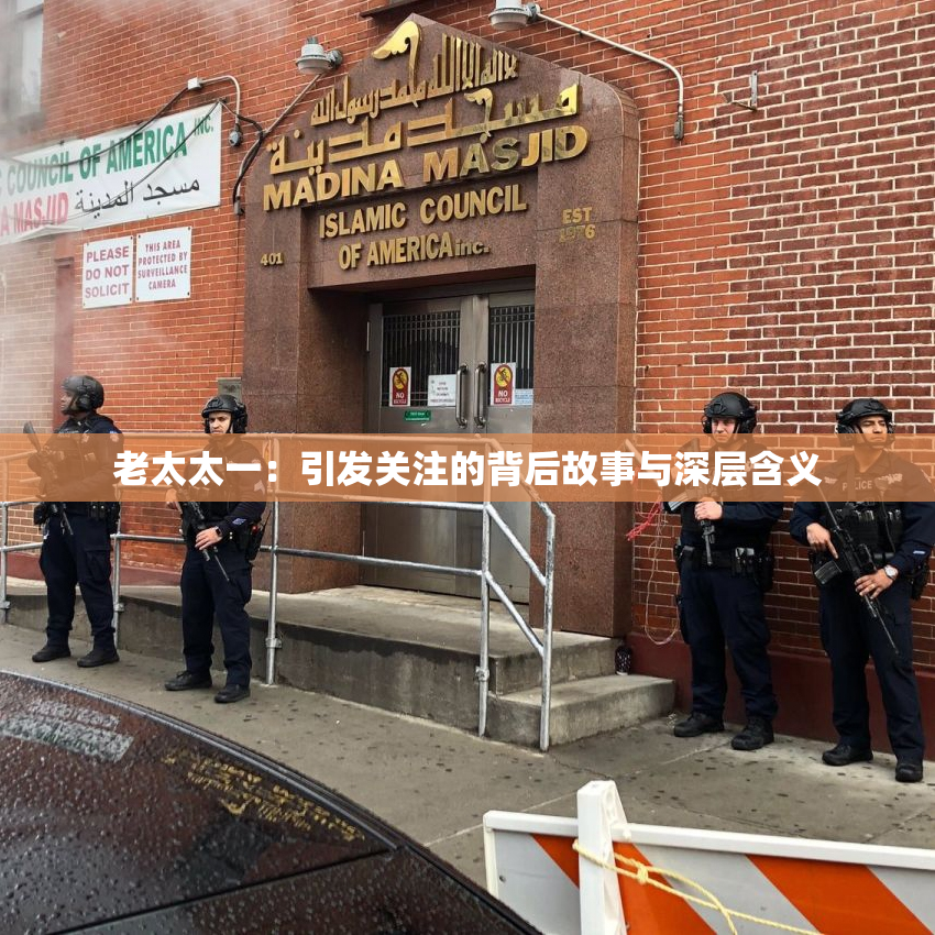 老太太一：引发关注的背后故事与深层含义