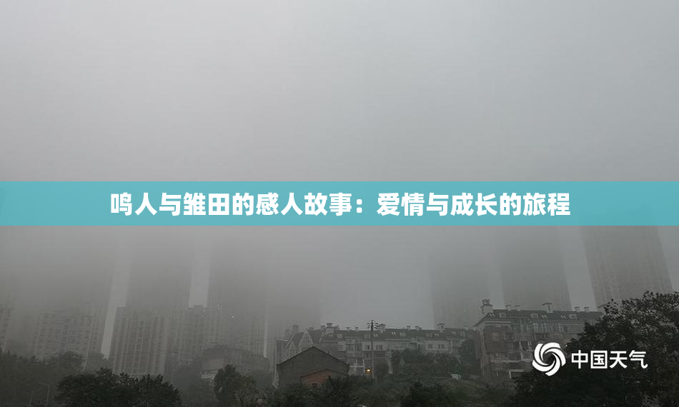 鸣人与雏田的感人故事：爱情与成长的旅程
