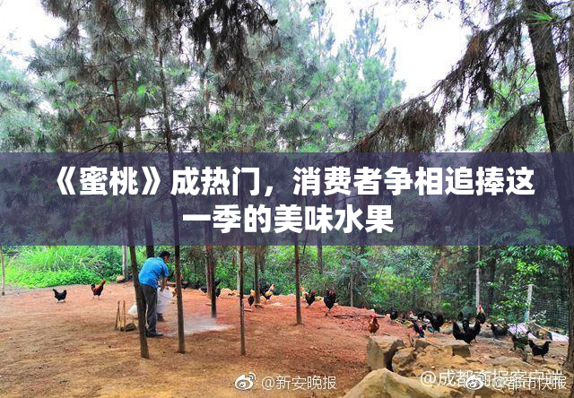 《蜜桃》成热门，消费者争相追捧这一季的美味水果