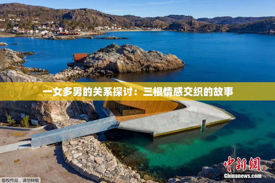 一女多男的关系探讨：三根情感交织的故事