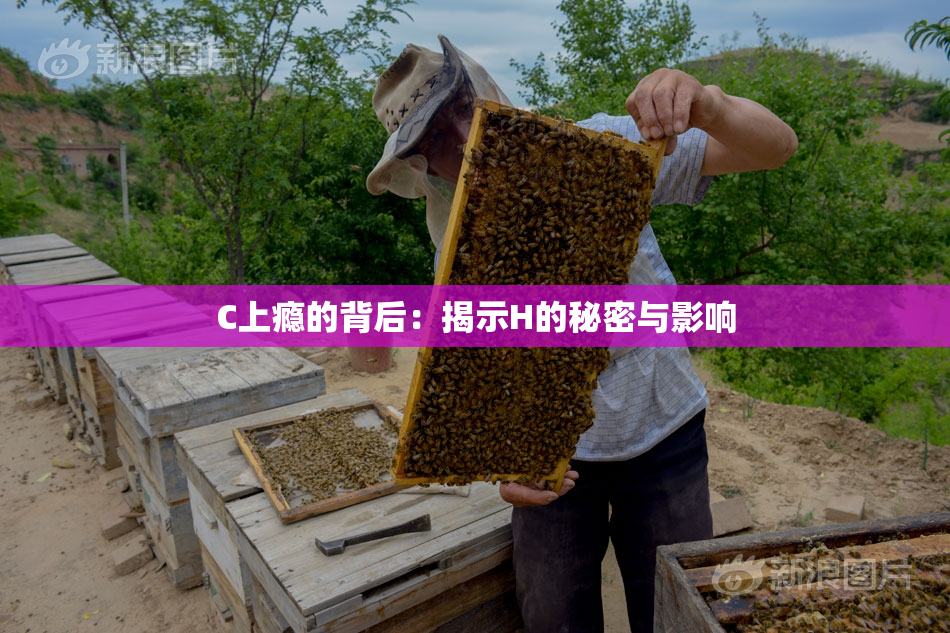 C上瘾的背后：揭示H的秘密与影响