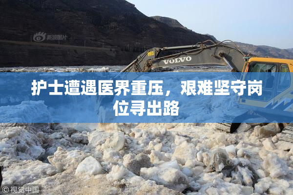 护士遭遇医界重压，艰难坚守岗位寻出路