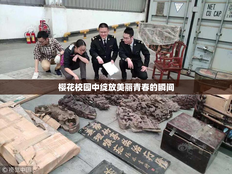 樱花校园中绽放美丽青春的瞬间